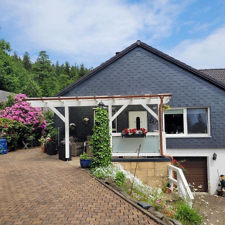 Gaestezimmer Haus Talblick Lautenthal Extérieur photo