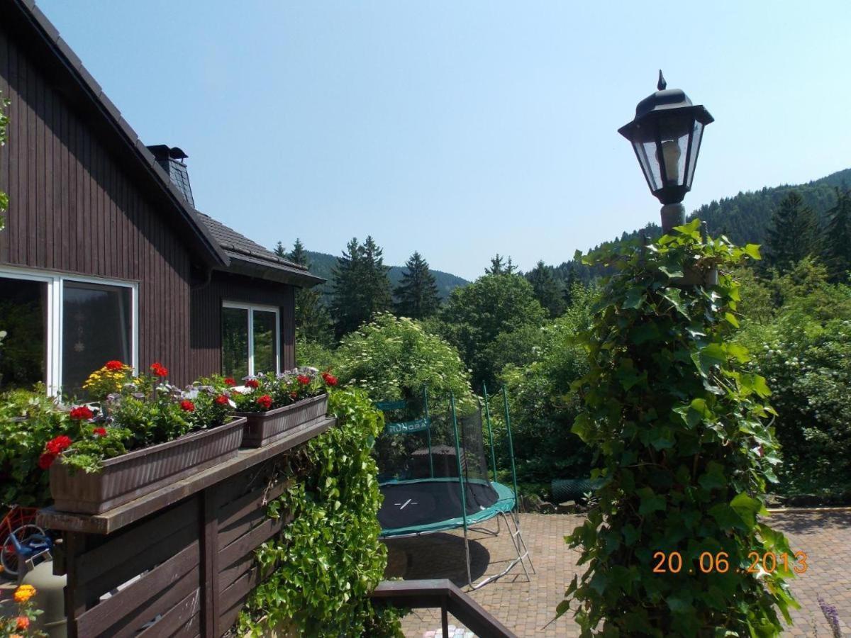 Gaestezimmer Haus Talblick Lautenthal Extérieur photo