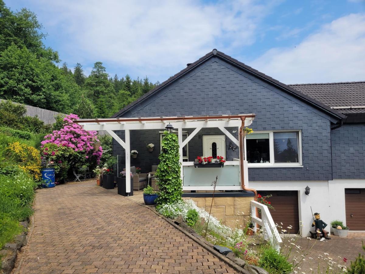 Gaestezimmer Haus Talblick Lautenthal Extérieur photo
