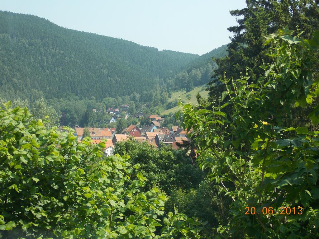 Gaestezimmer Haus Talblick Lautenthal Extérieur photo